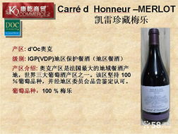 僅99元！紅酒之夜精品派對(duì)單人套餐，尊享法式微醺之旅