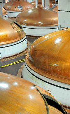 “坩堝包菜” 從實驗室到餐桌的創意酒精飲料